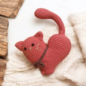Heart cat