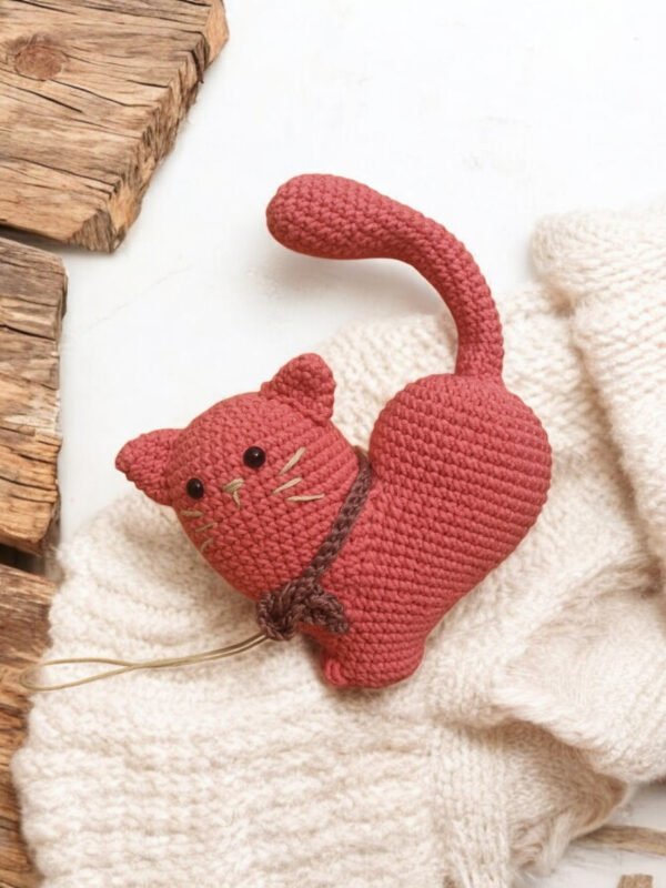 Heart cat