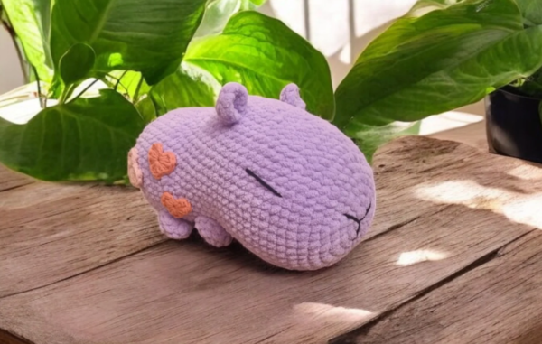 Pink Capybara
